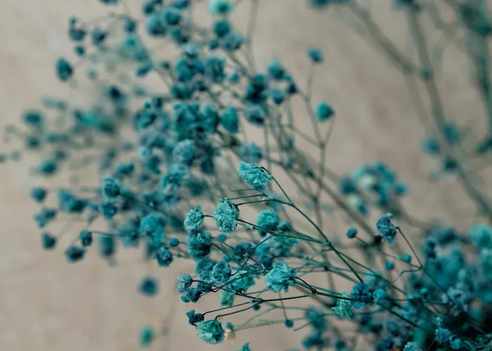 Goodija 2 アパート *