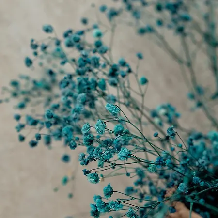 Goodija 2 Appartement *